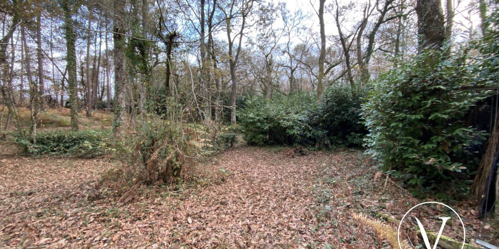 terrain à CASTELNAU TURSAN (40320)